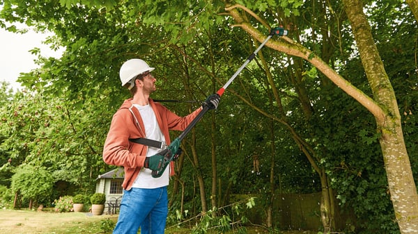 Bosch 06008B3101 moottorisaha Musta, Vihreä