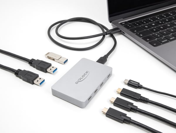 Miniatyrbild 4 av 5: DeLOCK 64279 gränssnittshubbar USB 3.2 Gen 2 (3.1 Gen 2) Type-C 10000 Mbit/s Grå