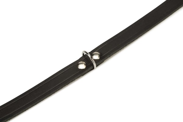 Beeztees 735315 Sort Læder Hund Standardkrave