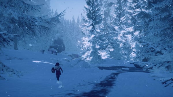 Contact Sales Skábma - Snowfall Standard PlayStation 4