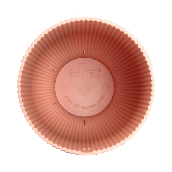 elho 8711904494810 urtepotte Lyserød Plast