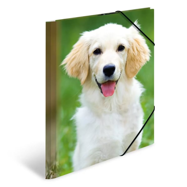 HERMA 7139 folder Polypropylen (PP) Flerfarvet A4