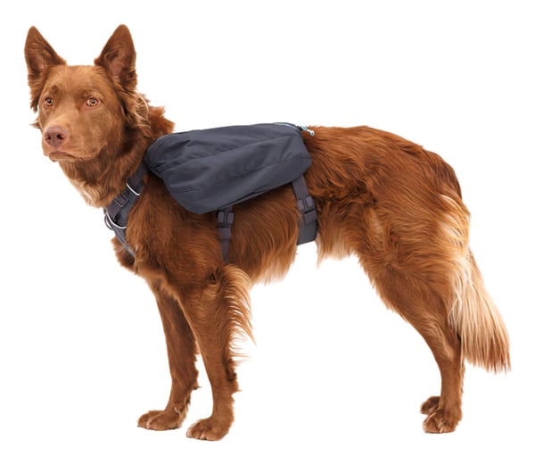 Ruffwear 50601-042LL1 sadeltaske til hund L-XL Grå Polyester