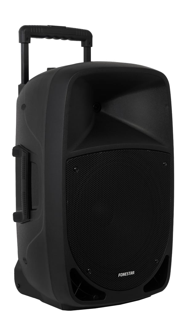 Fonestar MALIBU-312 højttaler Sort Kabel & trådløs 250 W