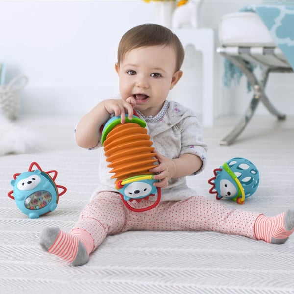 Skip Hop SH303252 motoriikkalelu