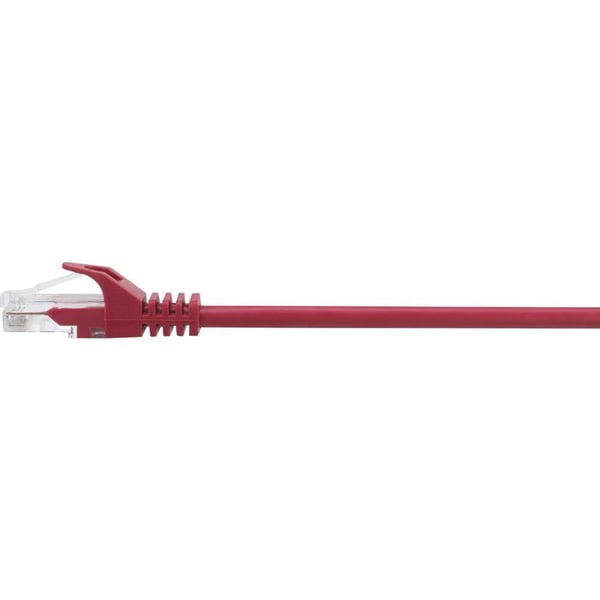 Miniatyrbillede 3 af 4: Renkforce RF-5043840 netværkskabel Rød 1 m Cat5e U/UTP (UTP)