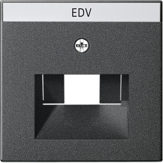 Gira ZPL.UAE/IAE M.SCHR.F.EV/E2 ANT / GIRA 28428 028428