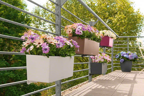 Miniatyrbillede 13 af 13: LECHUZA BALCONERA 50 Indendørs/udendørs Potteplante Hængende Polypropylen (PP) Hvid
