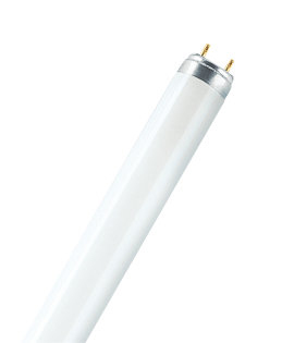 Pikkukuva 3 / 3: Osram ST8S-EM LED-lamppu Viileä valkoinen 4000 K 7,6 W G13