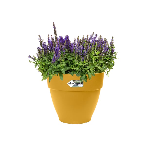 Miniatyrbillede 14 af 15: elho 8711904500085 urtepotte Gul Plast