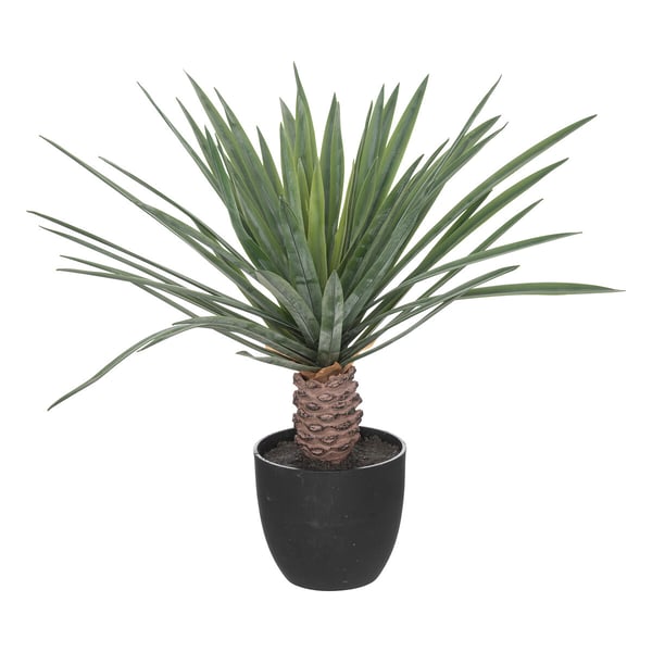 Miniatyrbillede 1 af 2: Atmosphera 193742 kunstig plante