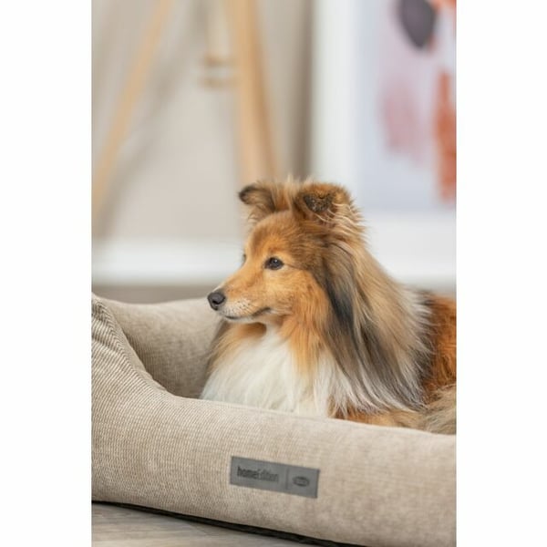 Miniatyrbild 2 av 8: TRIXIE 37490 Bädd för hund och katt Krypin bädd för husdjur
