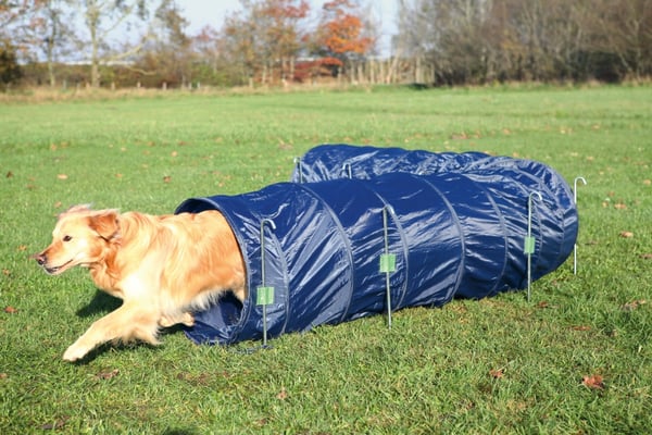 Miniatyrbillede 1 af 2: TRIXIE 3211 udstyr til agility til hund og kat 1 stk Blå Polyester Agility tunnel