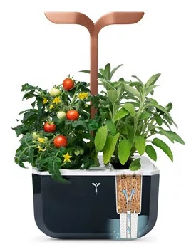 Véritable Exky SMART Garden trädgård Svart