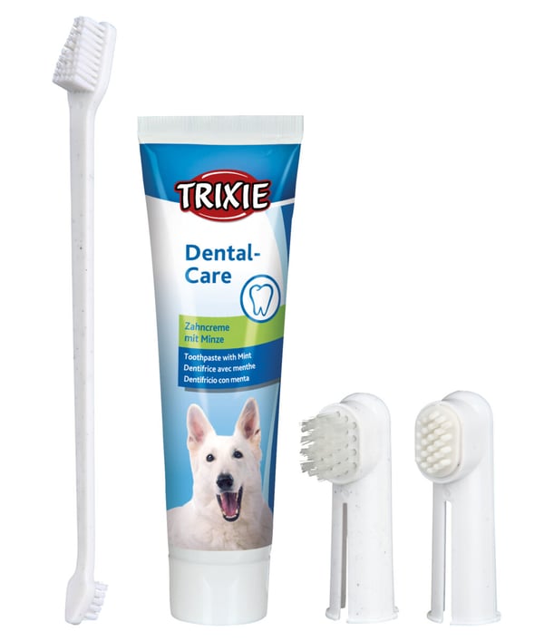 TRIXIE 2561 Tandvårdsprodukt för husdjur