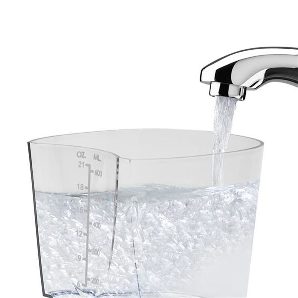 Waterpik WP-660 Oral vandspray 0,65 L