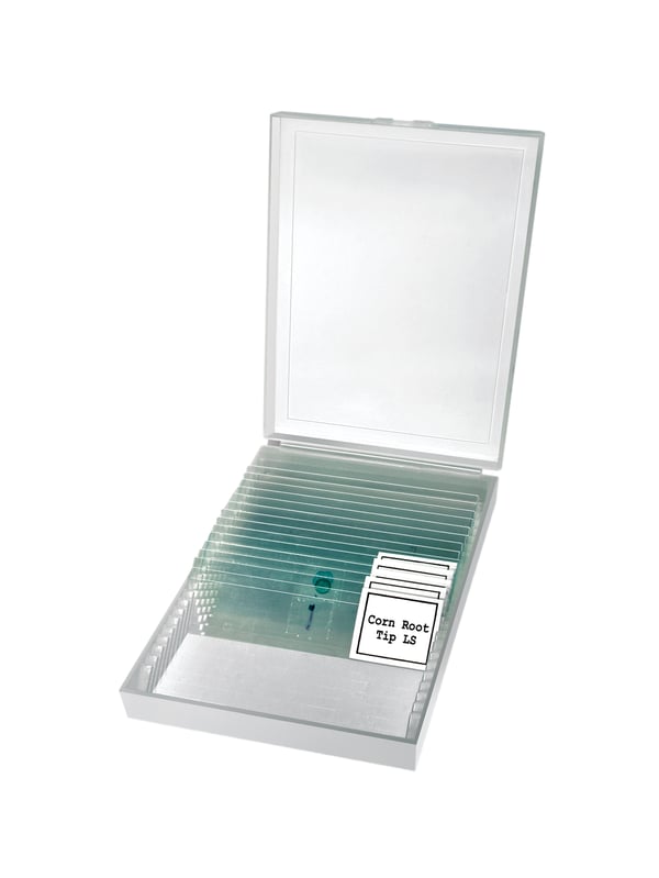 Miniatyrbild 4 av 5: Bresser Optics ERUDIT 400x Optiskt mikroskop