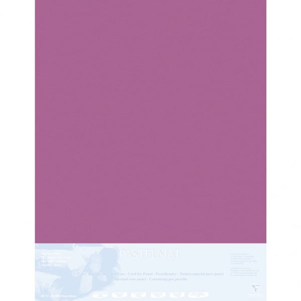 Clairefontaine 396016C Konstpapper 5 ark