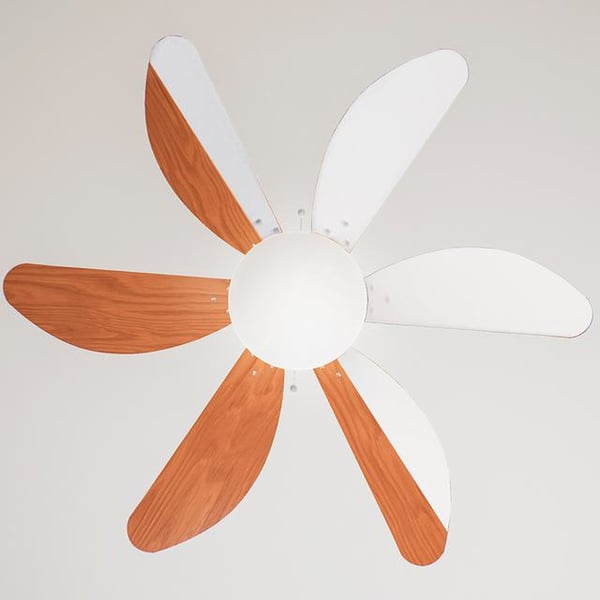 Miniatyrbillede 3 af 6: Cecotec 05939 ventilator Hvid, Træ