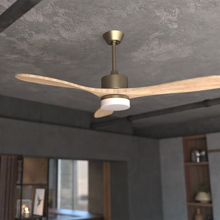 Cecotec 05983 hushållsfläkt Guld