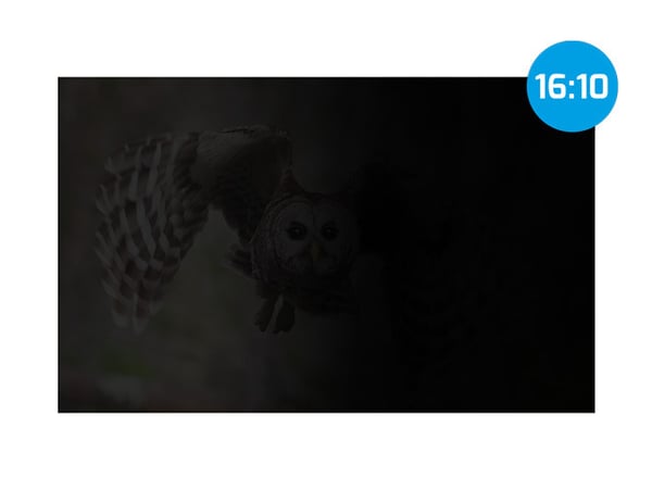 NATEC NFP-2287 näytön tietoturvasuodatin 40,6 cm (16") Näyttö/kannettava tietokone Kehyksetön näytön yksityisyyssuodatin 2H