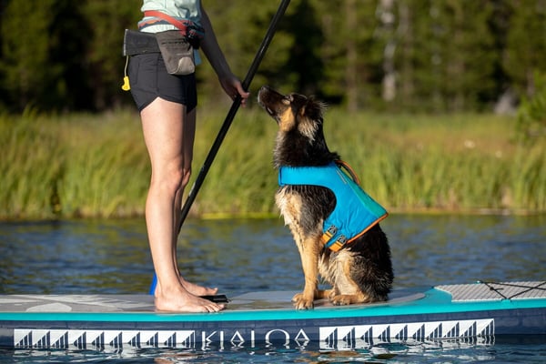 Miniatyrbillede 3 af 9: Ruffwear Float Coat XL Polyester Blå