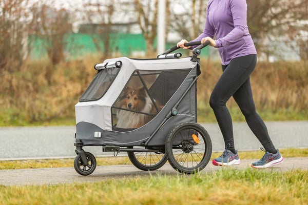 TRIXIE 12799 polkupyörän vetokärry