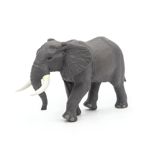 Afrikansk elefant