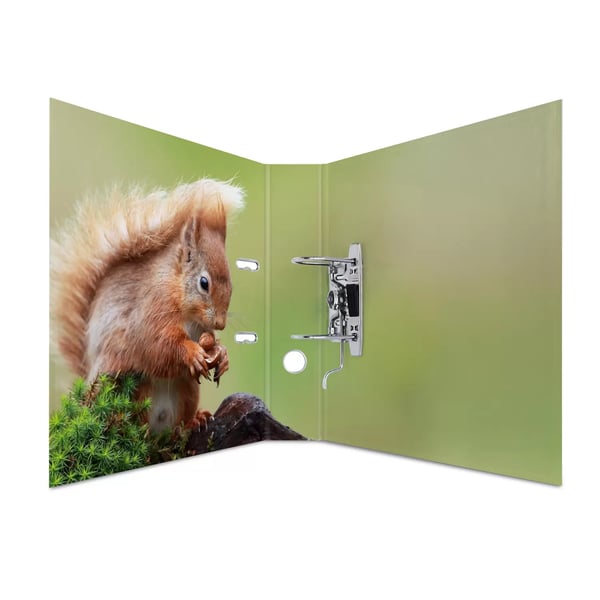 Miniatyrbild 2 av 3: HERMA 7202 ringpärmar A4 Multifärg