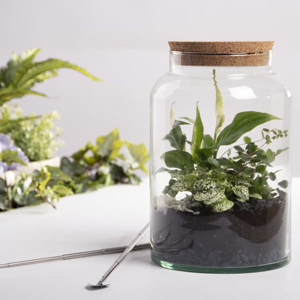 Esschert Design AGG69 vas Vas med skuldra Glas Transparent