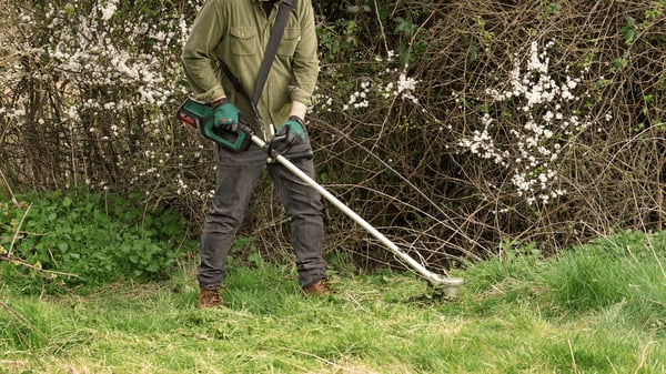 Miniatyrbillede 5 af 8: Bosch BrushCut batteridreven græssaks 2,4 mm 36 V Lithium-Ion (Li-Ion) Grøn