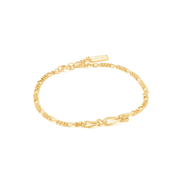 Miniatyrbillede 1 af 4: Ania Haie B021-03G armbånd Armbånd med charms Hunstik Sterling sølv