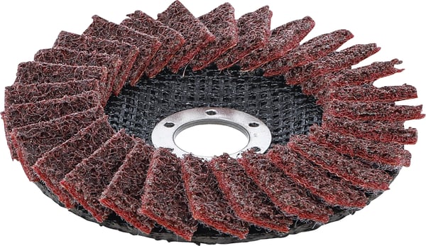 BGS technic Flap Disc