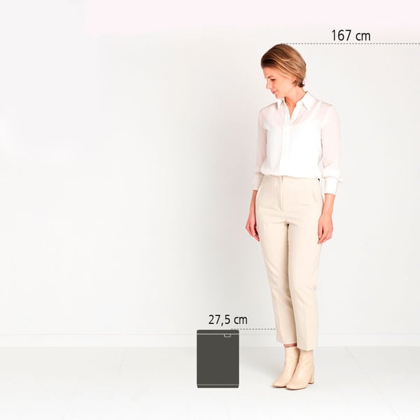 Brabantia Bo Waste Bin 4 L Rektangulær Stål Sort, Stål