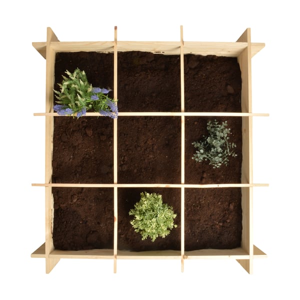 Esschert Design B1012 plantekasse Indendørs/udendørs Boks potteplante Fritstående Fyrretræ, Polypropylen (PP) Træ