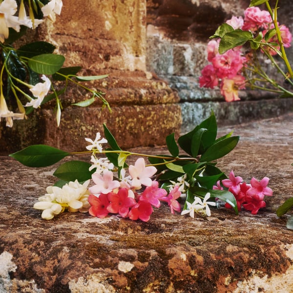 Gucci Bloom 100 ml Naisten