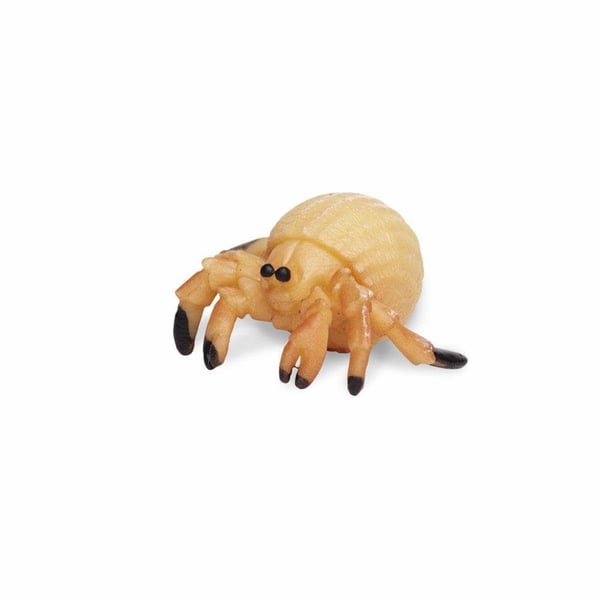 Safari Ltd Hermit Crabs