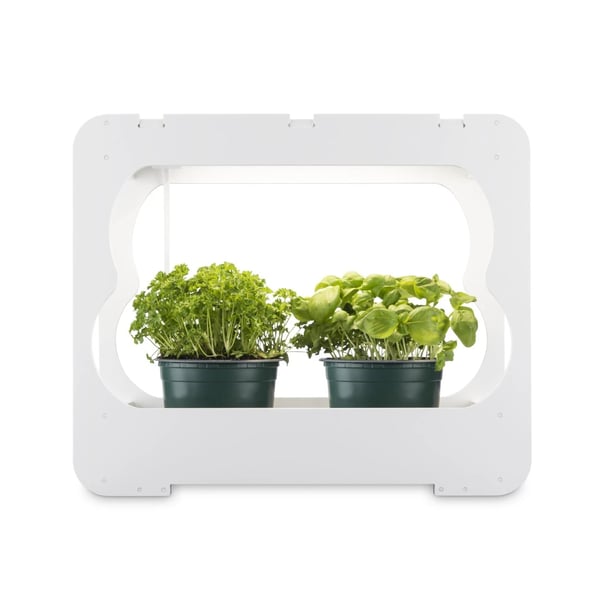 Xavax 00112926 växtbelysning LED-ljus