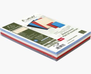 Exacompta 2789C arkbeskytter 210 x 297 mm (A4)