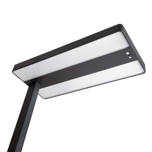 MAUL 8258690 gulvbelysning LED C