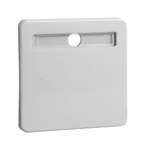 Schneider Electric 213624 elektriska switchtillbehör nyckel