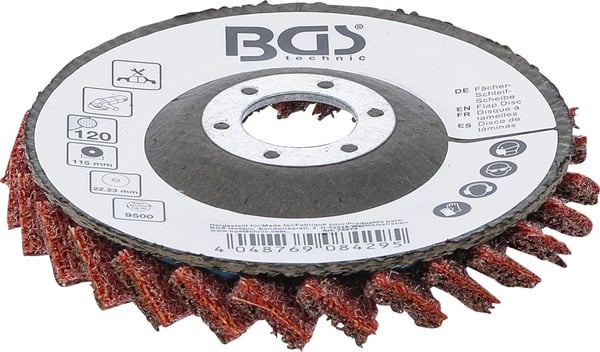 BGS technic Flap Disc