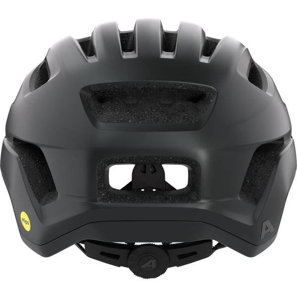Alpina Sports PARANUS MIPS Sort
