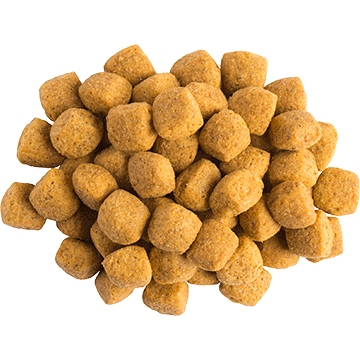 Miniatyrbillede 4 af 4: Purina PRO PLAN VETERINARY DIETS Canine EN Gastrointestinal 5 kg Voksen Kylling