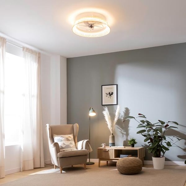 Pikkukuva 10 / 10: Cecotec 08631 kodinpuhallin Luonnollinen