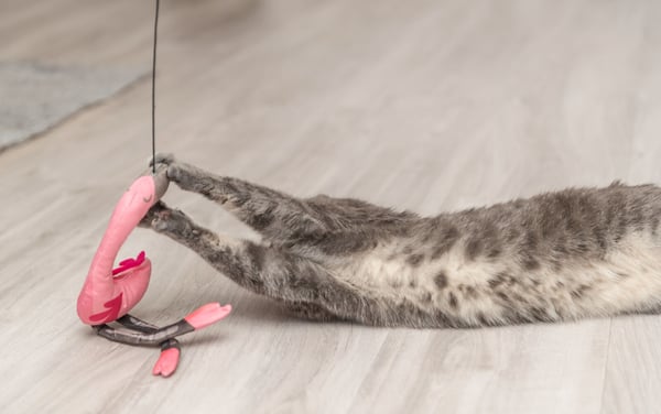 TRIXIE 45646 katte- og hundelegetøj