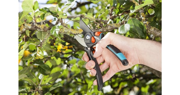 Gardena 8905-20 beskæringssaks Aflede Sort, Blå, Grå