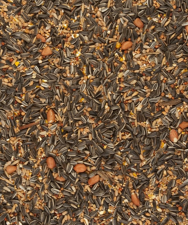 Versele-Laga Sunflower Energy Mix Frø 11,5 kg Universel