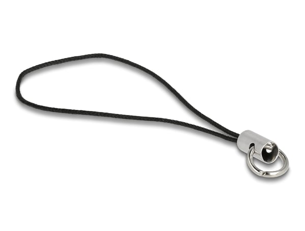 DeLOCK 54009 USB-sticka 256 GB USB Type-C 3.2 Gen 1 (3.1 Gen 1) Svart, Grå