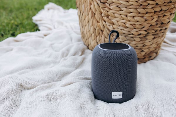 Canyon BSP-8 Bærbar mono højttaler Grafit 10 W